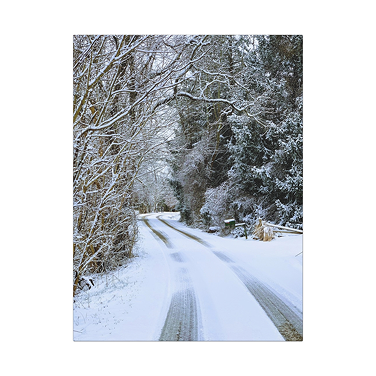 grid image
